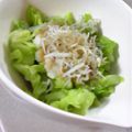 みみたぶぅ's cooksnap of when they made おろしキャベツ❤.