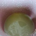 rose63☆'s cooksnap of when they made 炊飯器で！麹でつくる甘酒.