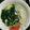 M130018's cooksnap of when they made 野菜たっぷり☆餃子スープ.