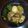 KanaShindo's cooksnap of when they made 【衝撃】短時間！炊飯器で豚の角煮♪.