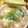 ぽぽきゅ's cooksnap of when they made 蟹カマであったかヘルシー・クッパ.
