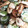 あゆまま★'s cooksnap of when they made 簡単！！きゅうりとちくわのツナマヨ和え♡.