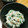 あんず7034's cooksnap of when they made ほうれん草の白和え.