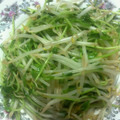 pucyipan's cooksnap of when they made 豆苗ともやしのシンプル塩炒め.