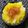 nosso's cooksnap of when they made 白菜大量消費にも！めんつゆで簡単！白菜丼.