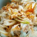 尾崎食品株式会社's cooksnap of when they made うどん屋さんのどんぶりつゆ.