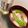 ふたごゆき's cooksnap of when they made 絹さや・新じゃが・しめじのお味噌汁♪.