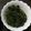 白幡紀子's cooksnap of when they made ほうれん草のごまあえ.