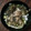 inLondon's cooksnap of when they made 即席・簡単☆とろろ昆布のお吸い物.