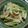fiatcinq's cooksnap of when they made 簡単♪きのこと もやし 小松菜の野菜炒め.