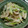 fiatcinq's cooksnap of when they made 簡単♪きのこと もやし 小松菜の野菜炒め.