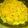 クック9DR3RW☆'s cooksnap of when they made キャベツたっぷりで食べるシュウマイ！.