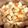 よねすと's cooksnap of when they made 里芋と豚肉の味噌煮こみ.