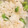 aceman's cooksnap of when they made ひとつまみのお塩で美味しい枝豆ごはん♪.