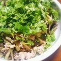 １０４さん's cooksnap of when they made 茄子と豚肉アンチョビ風味、パクチーのせ.