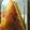 クックCP681N☆'s cooksnap of when they made かぼちゃのチーズケーキ.