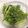 khnopff's cooksnap of when they made かぶの葉の胡麻みそ和え.