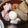 MManzsimsc's cooksnap of when they made 牛スジの下処理.