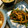 らいち0522's cooksnap of when they made 簡単！本格青椒肉絲.