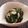 セルジ's cooksnap of when they made ほうれん草にんにくバター炒め.