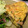 猫柳商店's cooksnap of when they made 餃子の具でオムレツ！？.