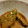 イエローバード's cooksnap of when they made ♥カレイの煮付け♥.