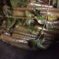 紗重桂's cooksnap of when they made 蕗の香り美味しいキャラブキ.