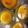 紗重桂's cooksnap of when they made しっとりかぼちゃぷりん.