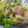 ＭＯＭＯパンダ's cooksnap of when they made お弁当に！彩り野菜の蒸し焼き.