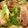 TOM33TOM's cooksnap of when they made ハマる味！ネギチャーシュー.