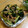 ma04tsu's cooksnap of when they made 小松菜と豚肉の甘辛ソース炒め.
