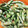 クックLZ7E8G☆'s cooksnap of when they made おいしい枝豆のゆで方.