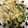ゆかりりりー's cooksnap of when they made 簡単！にらともやしの卵とじ.