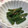 ぱるママぱたこ's cooksnap of when they made いんげんの胡麻和え　冷凍保存可.