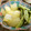 ☆Rokko☆'s cooksnap of when they made 簡単 ♪とうがんとモロッコいんげんの煮物.