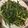 みなぴっぴ☆'s cooksnap of when they made 空芯菜のにんにく炒め.