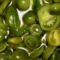 つるうめもどき's cooksnap of when they made 青いトマトのピクルス.
