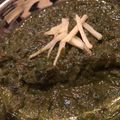 スパイスパーラー's cooksnap of when they made グルテンフリー☆ほうれん草（サグ）カレー.