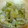 なんかいっすー's cooksnap of when they made 切って漬けるから早い！「野菜の切り漬」.