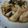 みやびうさぎ's cooksnap of when they made 鶏ささみの醤油焼き大葉まぶし♪.
