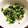 まゆみ××'s cooksnap of when they made 離乳食完了期★白菜とツナのとろとろ煮.