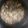 たなまーぼー's cooksnap of when they made ひじきの炊き込みご飯.