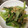 ヘルシーみちこ's cooksnap of when they made 小松菜とツナのマヨネーズ炒め☆お弁当に.