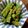 えばさき1529's cooksnap of when they made いんげんおかかマヨレモン和え♪.
