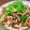 ちゃちゃまる26's cooksnap of when they made かしわ(親鳥)のしょうが焼き.