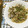 ethnic0229's cooksnap of when they made スペイン風あさりの白ワイン蒸し.