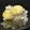 クック4L8UHQ☆'s cooksnap of when they made 栗の定番栗ご飯.