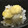 クック4L8UHQ☆'s cooksnap of when they made 栗の定番栗ご飯.