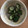 よーはるまー's cooksnap of when they made すぐに簡単！きゅうりのゆかり和え.