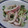 春小町's cooksnap of when they made いかのからしマヨ和え.